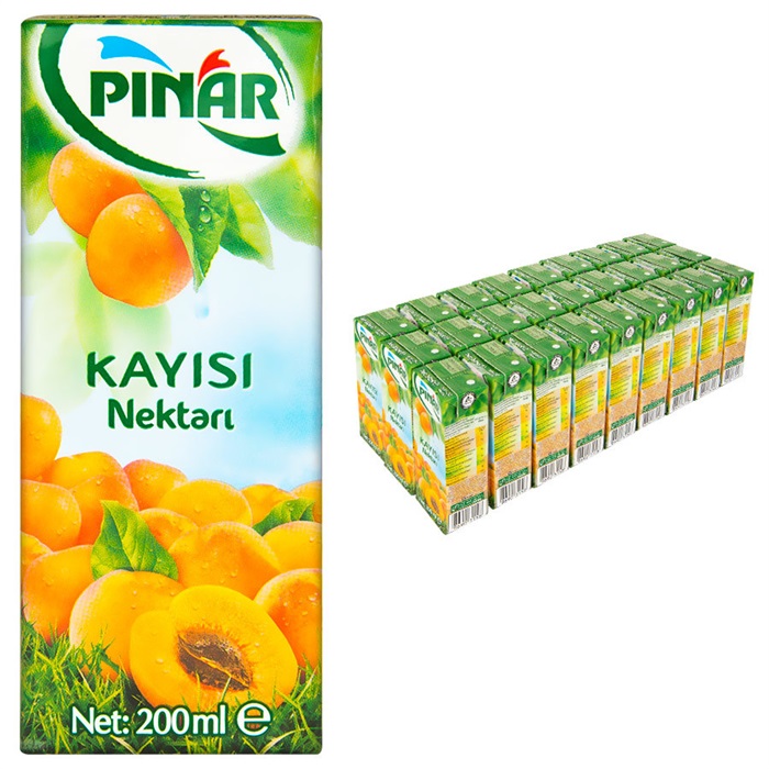 Pınar Meyve Suyu Kayısı 200 ml 27'li Paket